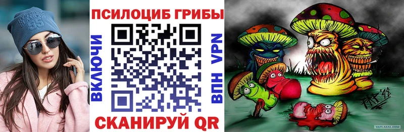 Псилоцибиновые грибы мицелий Новый Уренгой